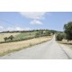 PRESTIGIOUS PALAZZO NOBILIARE IN THE COUNTRYSIDE FOR SALE IN FERMO SURROUNDING THE WONDERFUL 1800 IN PANORAMIC POSITION in the Marche region in Italy in Le Marche_22